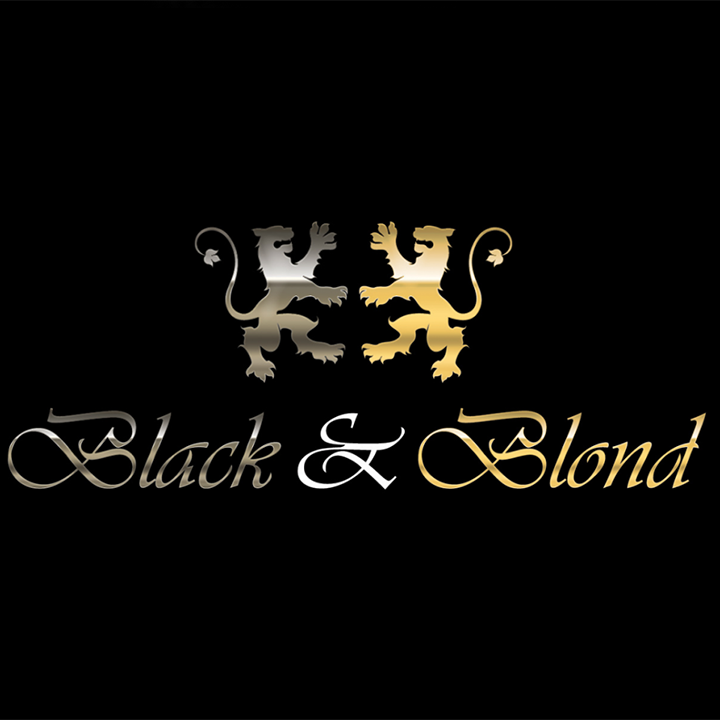 Black & Blond hair salon website