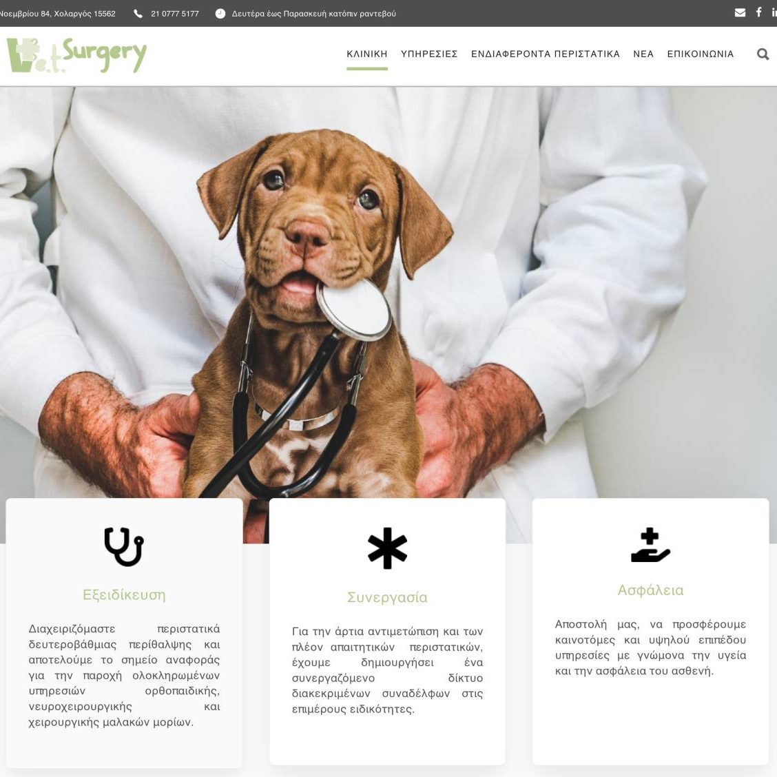 VetSurgery veterinary clinic website